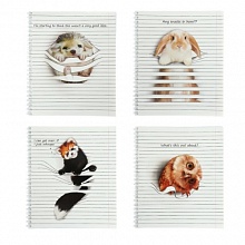 Тетрадь спираль  48л клетка Animals Between Lines Полином, 2807-48