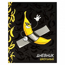 Дневник универсальный 48л интегральный переплет Арт-банан Феникс 63337