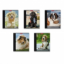 Тетрадь  48л клетка Самые добрые собаки Erich Krause, 49638