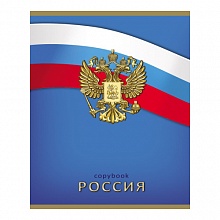 Тетрадь 96л клетка Цвета России Проф-Пресс, 96-3529
