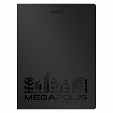 Папка с 20 вкладышами А4 черная Megapolis Erich Krause, 45988