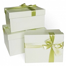 Коробка подарочная прямоугольная 21x17x11см салатовая Д10103П.311.2