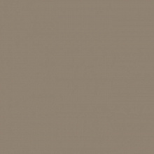 Цветная бумага 50х70см капучино 130гр/м2 10л FOLIA (цена за лист), 6773