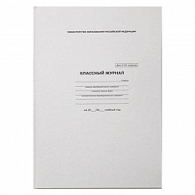 Журнал классный 10-11 класс 96л белый Проф-Пресс 1763791