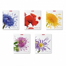 Тетрадь  48л клетка Unique&Beautiful Erich Krause, 49626