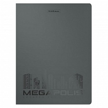 Папка с 20 вкладышами А4 серая Megapolis Erich Krause, 49934
