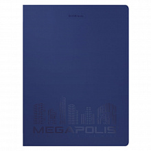 Папка с 20 вкладышами А4 синяя Megapolis Erich Krause,49933