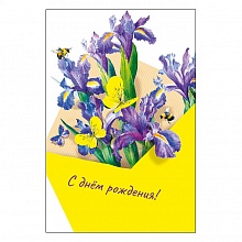 Открытка А5 С Днем Рождения МП, 019.576