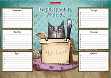 Расписание уроков А4 Cat&Box Erich Krause, 49707