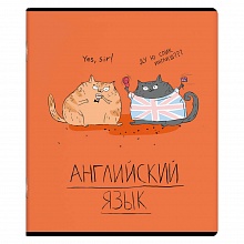 Тетрадь предметная Английский язык 48л клетка Любознательные коты Феникс, 60467