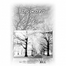 Бумага для рисования  А4 40л Полином пл.100г/м2, 5с10