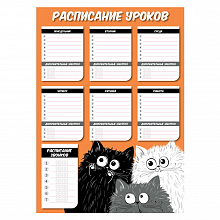 Расписание уроков А3 Три кота Феникс, 56932
