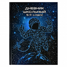 Дневник для старших классов 48л твердый переплет Над землей Феникс 56517