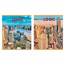 Тетрадь спираль  48л клетка Вид на мегаполисы Проф-Пресс, 48-4540