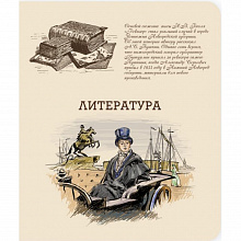 Тетрадь предметная Литература 48л линия ФЕНИКС, 44343