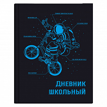 Дневник универсальный 48л твердый переплет Экипировка Феникс 56552