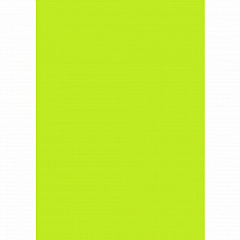Бумага для офисной техники цветная А4 80г/м2 50л салатовый неон Крис Creative, БНpr-50сал