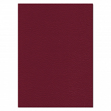 Тетрадь бумвинил  48л  А4 клетка Полином, 2524