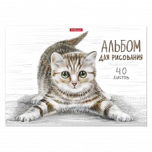 Альбом для рисования А4 40л склейка Tabby Erich Krause, 49844