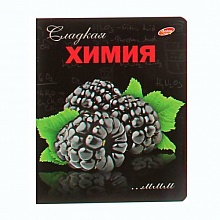 Тетрадь предметная Химия 48л клетка Фруктовая Академия Холдинг 6268