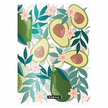 Папка-угол А4 пластик 0,16мм Avocado Dusk Erich Krause, 55312