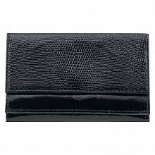 Портмоне женское из натуральной кожи черное Вектор Amato, ПЖ-453-2110/3210