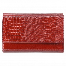 Портмоне женское из натуральной кожи красное Вектор Amato, ПЖ-453-2130/3230