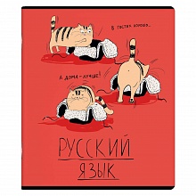Тетрадь предметная Русский язык 48л линия Любознательные коты Феникс, 60469