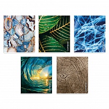 Тетрадь  96л клетка ассорти Макросъемка ФЕНИКС 63713