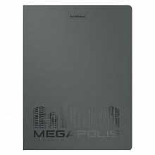 Папка с 40 вкладышами А4 серая Megapolis Erich Krause, 49936