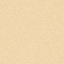 Картон А4 бежевый 300г/м2 FOLIA (цена за 1 лист) 614/1008