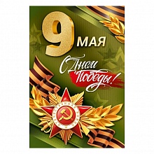 Открытка А5 9 Мая С Днем Победы! ИП 66.293.00