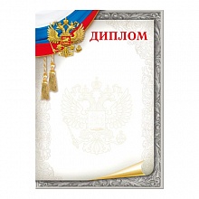 Диплом Мир Поздравлений, 044.059