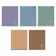 Тетрадь  48л клетка ассорти Просто Цвет SVETOCH, 48ТЕТк-005 000751