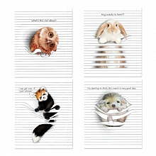 Тетрадь спираль 96л клетка Animals Between Lines Полином, 2807-96