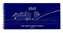 Планинг недатированный 135х290мм 60л на спирале Megapolis Erich Krause, 44900