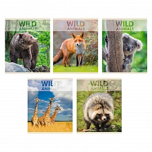 Тетрадь 96л клетка Wild animals Канц-Эксмо, ТЛ968377