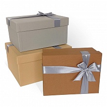 Коробка подарочная прямоугольная 23x19x13см микс с бантом Д10103П.284.1