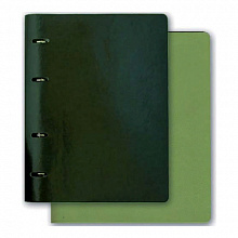 Тетрадь со сменным блоком 160л клетка Copybook ФЕНИКС 36090