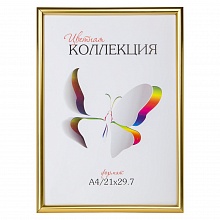 Фоторамка пластиковая 21х30см Золото со стеклом Мирам 6112-A4G Светосила, 5-16306