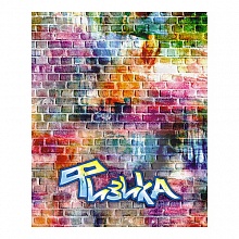 Тетрадь предметная Физика 40л клетка Кирпичи КТС-ПРО, С7921-05