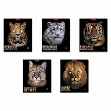 Тетрадь  48л клетка ассорти Strong and Brave Erich Krause, 54258