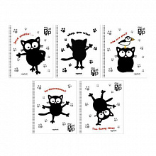 Тетрадь спираль  48л клетка Веселый кот Канц-Эксмо, ТС2Л484219