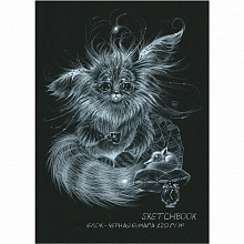 Блокнот для зарисовок А5 20л Sketchbook Black Полином 2824