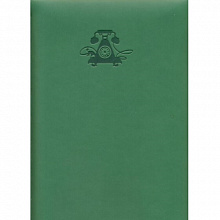 Алфавитная книжка 190х250мм 88л зеленый кожзам Виннер Феникс 30451