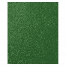 Тетрадь бумвинил  48л клетка Зеленая Полином, 5с7з