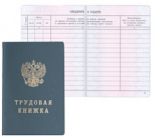 Книжка трудовая твердый переплет Гознак, ТК/РФ