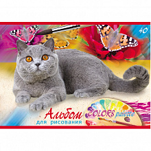 Альбом для рисования А4 40л Проф-Пресс Британский кот офсет 40-9081