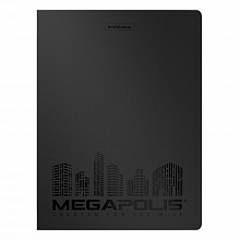 Папка с 40 вкладышами А4 черная Megapolis Erich Krause, 45990