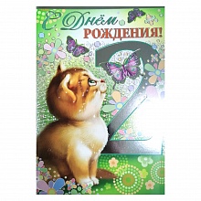 Открытка А5 средняя С днем рождения 2 года 13.687.00 ИП